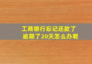 工商银行忘记还款了逾期了20天怎么办呢