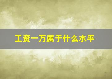 工资一万属于什么水平