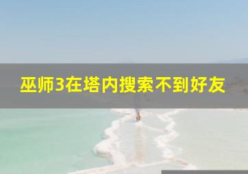 巫师3在塔内搜索不到好友