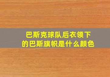 巴斯克球队后衣领下的巴斯旗帜是什么颜色