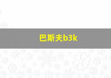 巴斯夫b3k