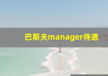 巴斯夫manager待遇