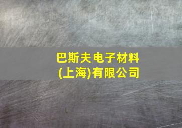 巴斯夫电子材料(上海)有限公司