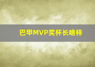 巴甲MVP奖杯长啥样