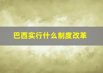 巴西实行什么制度改革