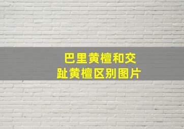 巴里黄檀和交趾黄檀区别图片