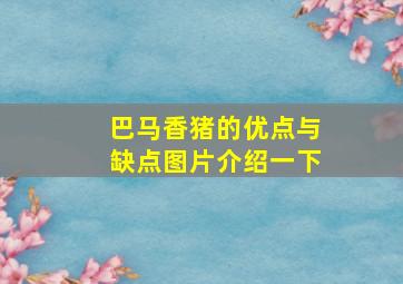 巴马香猪的优点与缺点图片介绍一下