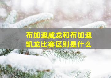 布加迪威龙和布加迪凯龙比赛区别是什么