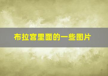 布拉宫里面的一些图片