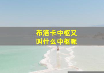 布洛卡中枢又叫什么中枢呢