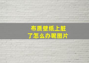 布质壁纸上脏了怎么办呢图片