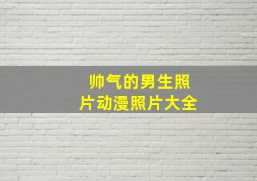 帅气的男生照片动漫照片大全