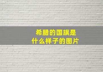 希腊的国旗是什么样子的图片