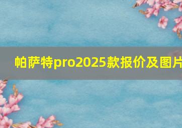 帕萨特pro2025款报价及图片