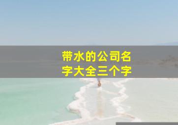 带水的公司名字大全三个字