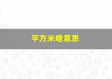 平方米啥意思