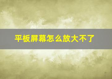 平板屏幕怎么放大不了