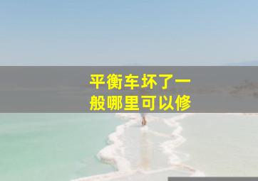 平衡车坏了一般哪里可以修