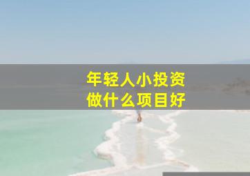 年轻人小投资做什么项目好