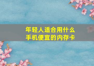 年轻人适合用什么手机便宜的内存卡