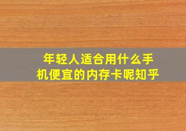 年轻人适合用什么手机便宜的内存卡呢知乎