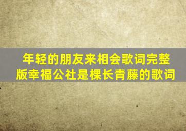 年轻的朋友来相会歌词完整版幸福公社是棵长青藤的歌词