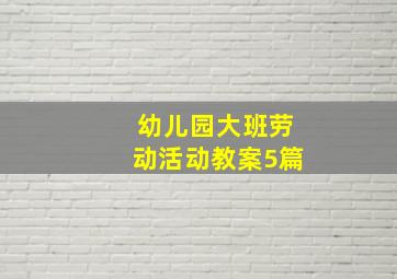 幼儿园大班劳动活动教案5篇