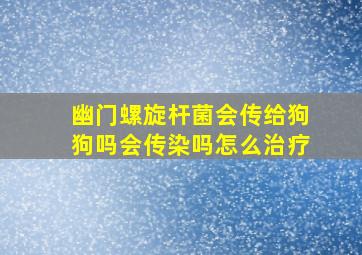 幽门螺旋杆菌会传给狗狗吗会传染吗怎么治疗