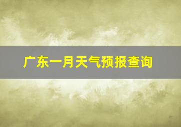 广东一月天气预报查询