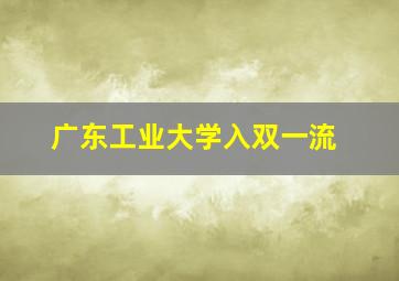 广东工业大学入双一流