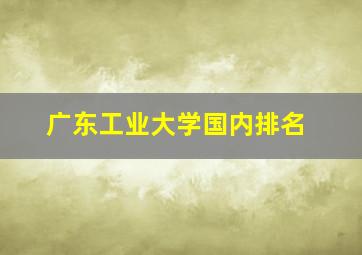 广东工业大学国内排名