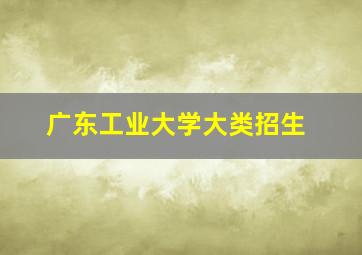 广东工业大学大类招生