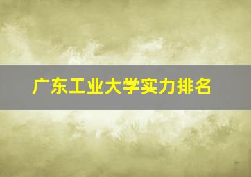 广东工业大学实力排名