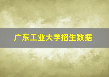 广东工业大学招生数据