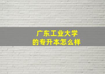 广东工业大学的专升本怎么样