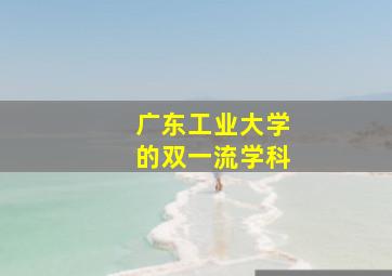 广东工业大学的双一流学科