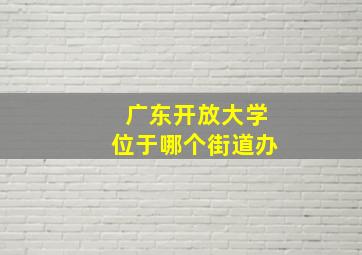 广东开放大学位于哪个街道办