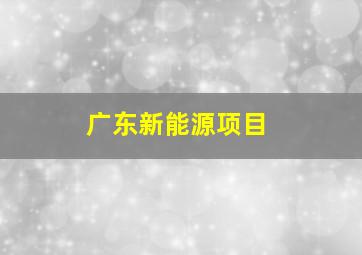 广东新能源项目