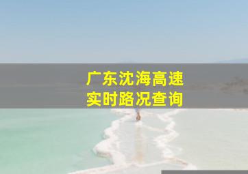 广东沈海高速实时路况查询