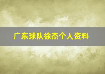 广东球队徐杰个人资料