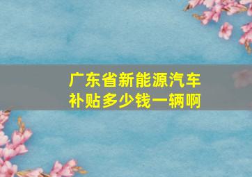 广东省新能源汽车补贴多少钱一辆啊