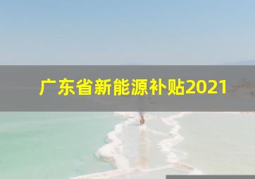 广东省新能源补贴2021