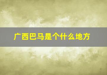 广西巴马是个什么地方