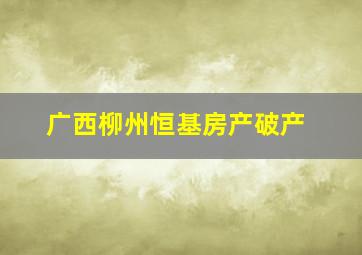 广西柳州恒基房产破产