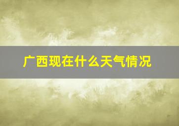 广西现在什么天气情况