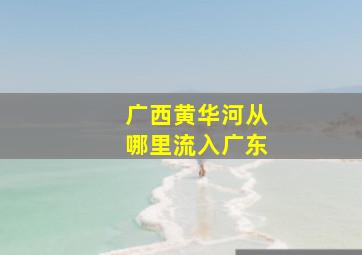 广西黄华河从哪里流入广东