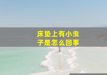 床垫上有小虫子是怎么回事