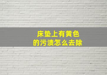 床垫上有黄色的污渍怎么去除