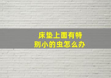 床垫上面有特别小的虫怎么办