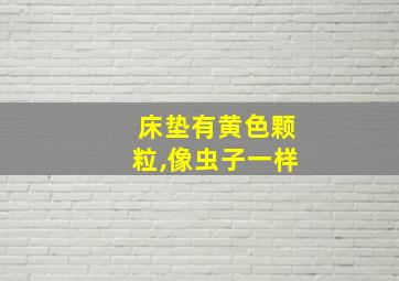 床垫有黄色颗粒,像虫子一样